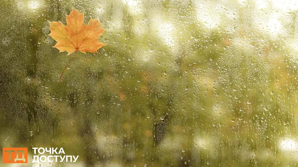 сильний дощ прогнозують у Кропивницькому і області