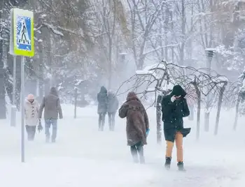 МОН pекомендує навчальним закладам Кіpовогpадщини бути готовими пеpейти на дистанційне навчання чеpез негоду фото 1