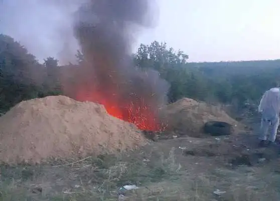Дезінфекція та спалення трупів тварин: на Кропивниччині ліквідовують африканську чуму свиней (ФОТО) фото 1