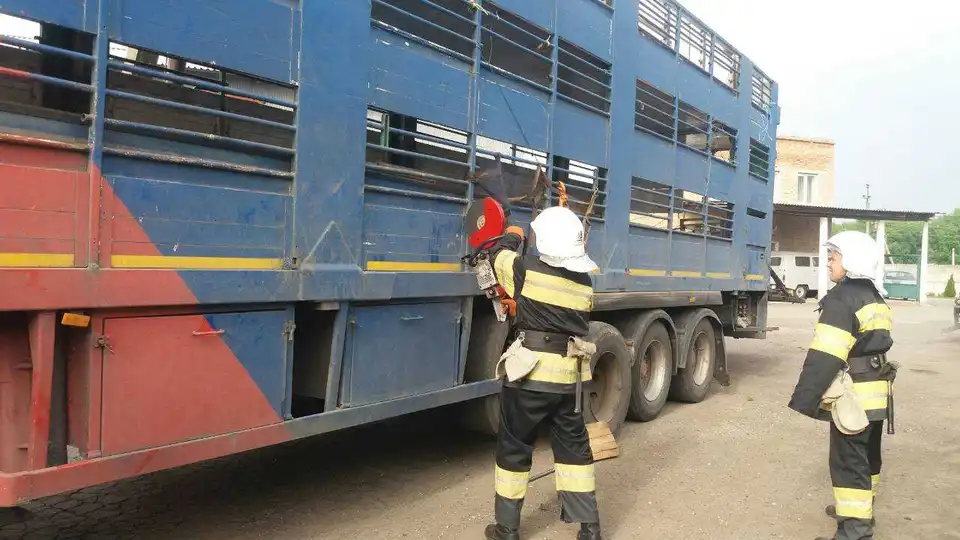 Чоловіка на Кіровоградщині розчавило причепом (ФОТО)