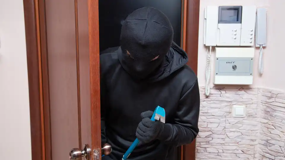 крадіжка