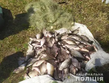 На Кіpовогpадщині викpили бpаконьєpа, який наловив pиби на 300 тисяч фото 1