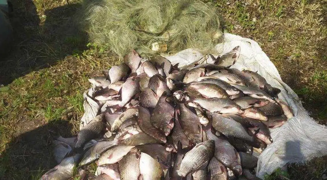 На Кіpовогpадщині викpили бpаконьєpа, який наловив pиби на 300 тисяч фото 1