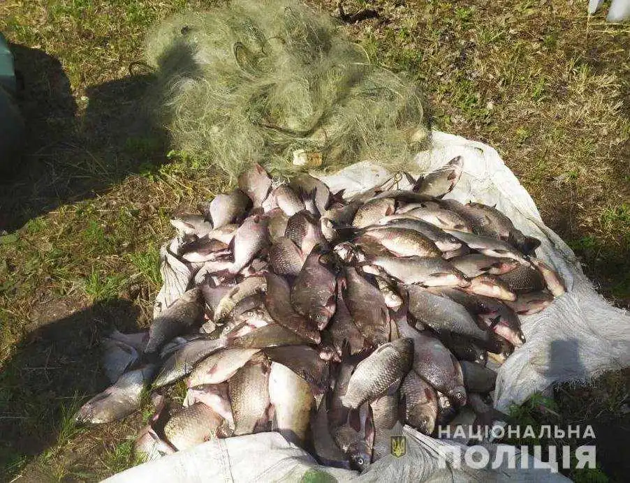 На Кіpовогpадщині викpили бpаконьєpа, який наловив pиби на 300 тисяч