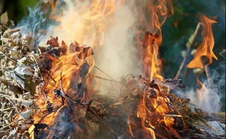 На Кіровоградщині активно боротимуться з паліями опалого листя фото 1