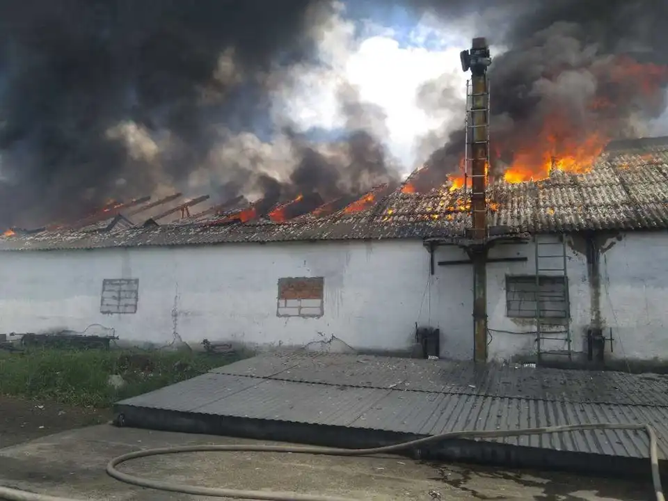 На Кіровоградщині горіла олійня (ФОТО)