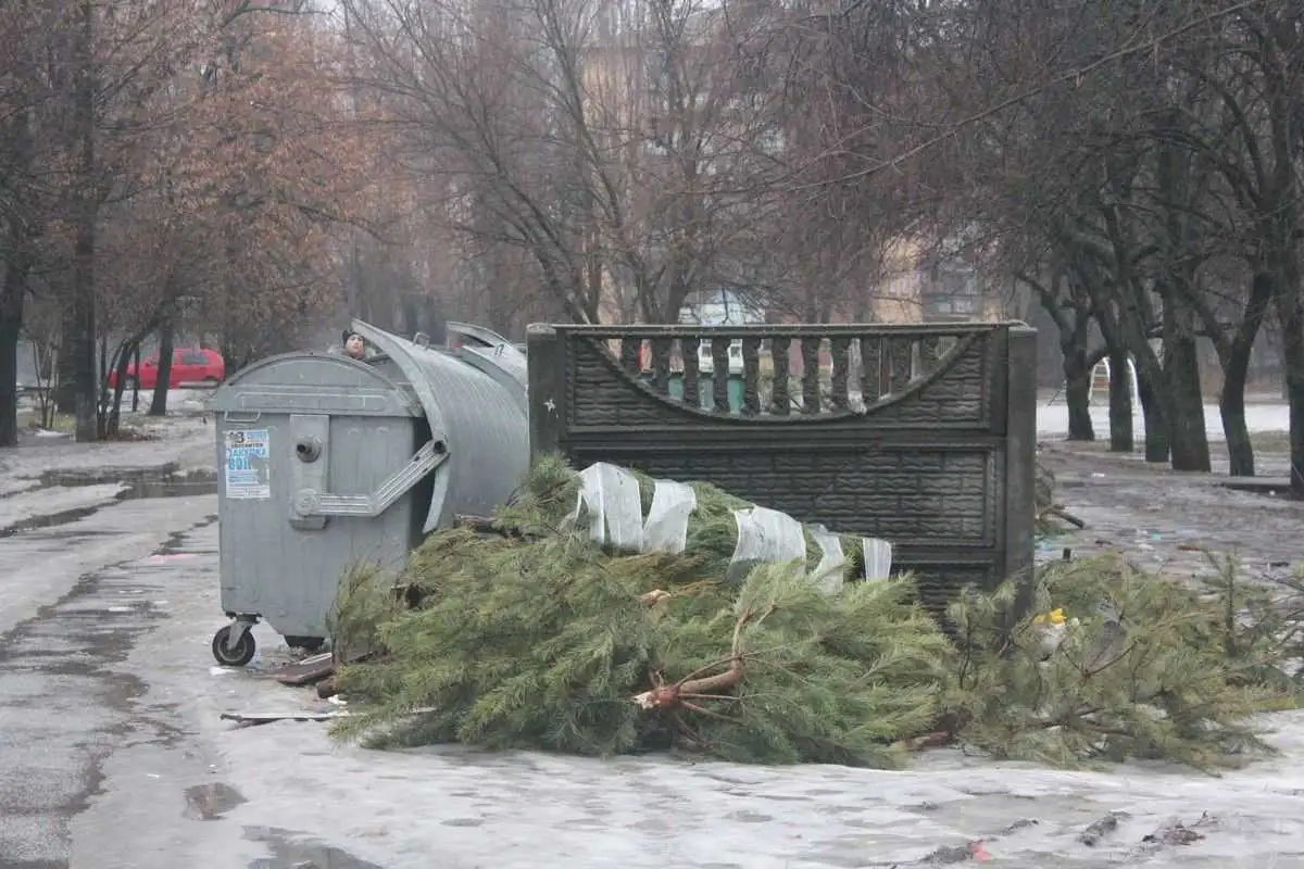 Міський голова Кропивницького доручив комунальникам організувати безкоштовний прийом деревини фото 1