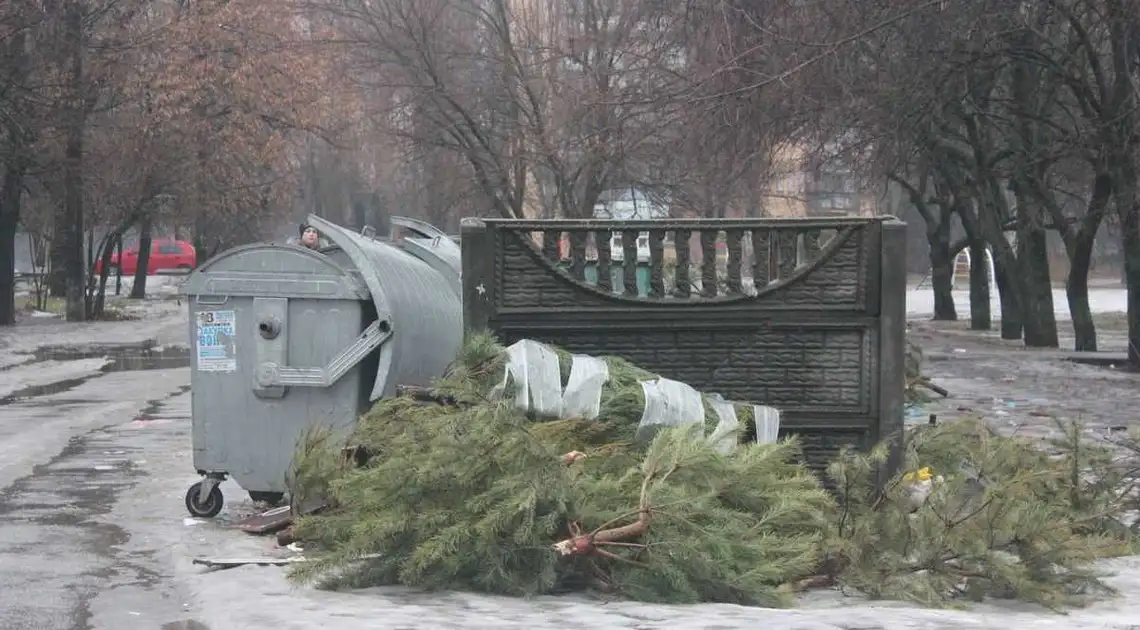 Міський голова Кропивницького доручив комунальникам організувати безкоштовний прийом деревини фото 1