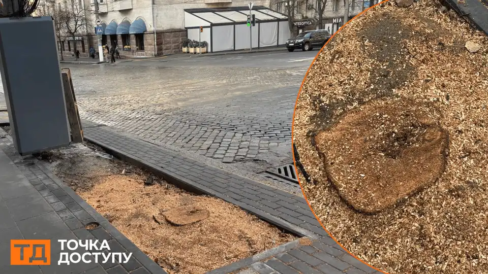 спиляли дерва