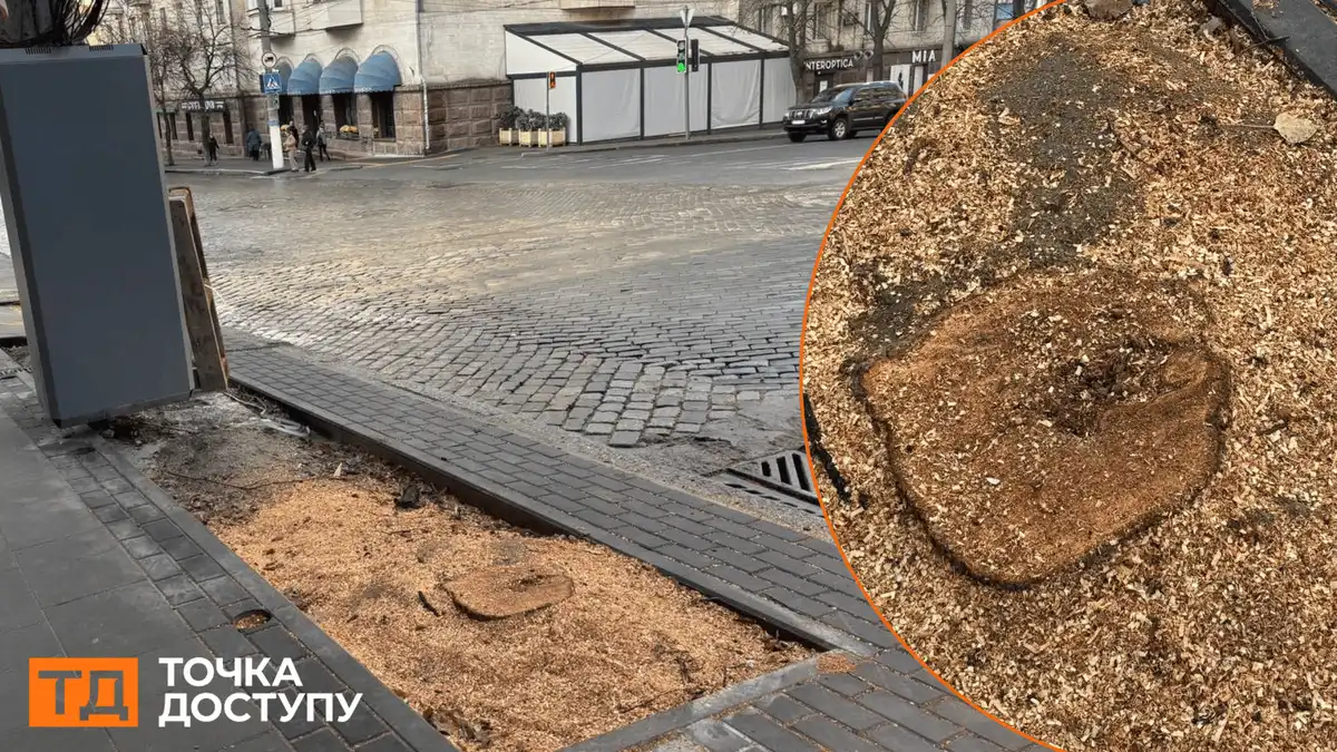 спиляли дерва