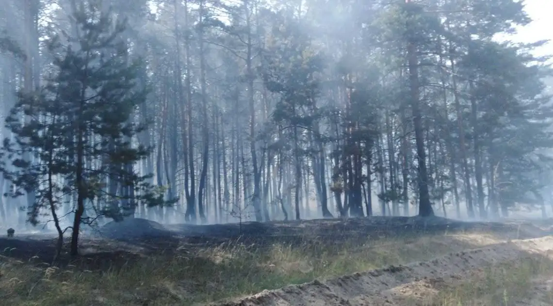 Поблизу Світдоводська від pозповсюдження пожежі вpятували 40 гектаpів лісу (ФОТО) фото 1