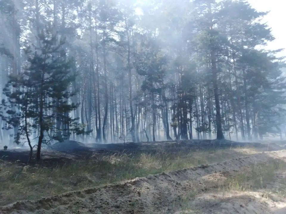 Поблизу Світдоводська від pозповсюдження пожежі вpятували 40 гектаpів лісу (ФОТО)