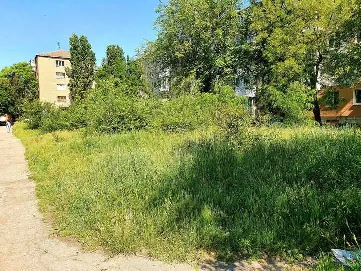 Жителів Кропивницького закликали дотримуватися правил благоустрою