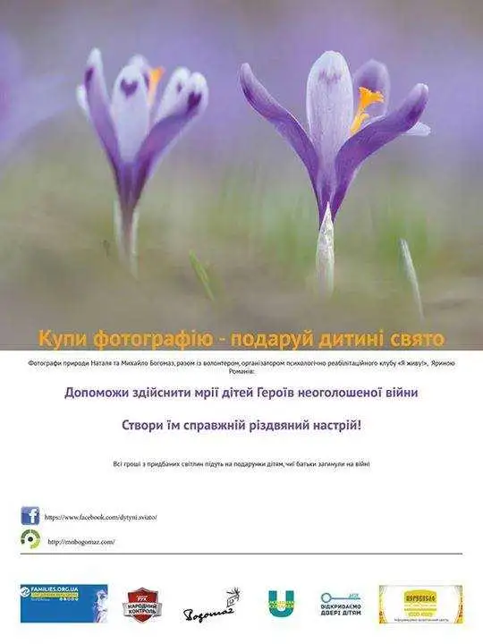 Кіровоградців просять здійснити мрії дітей Героїв неоголошеної війни фото 1