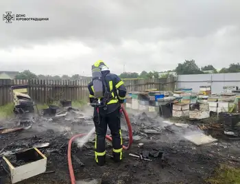 пожежа на пасіці у Кіровоградській області