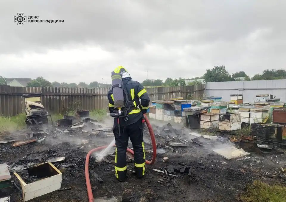 пожежа на пасіці у Кіровоградській області