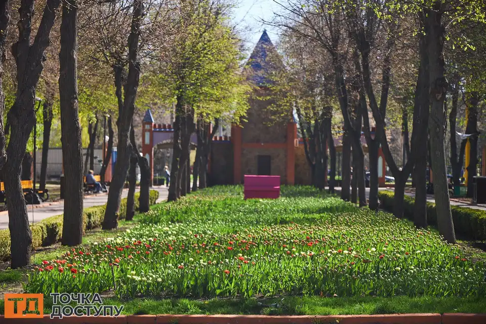 Кольорові тюльпани зацвіли в дендропарку Кропивницького, приваблюючи містян і туристів.