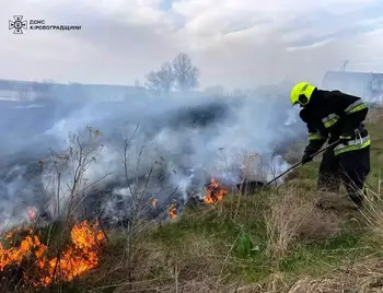 рятувальник гасить пожежу трави