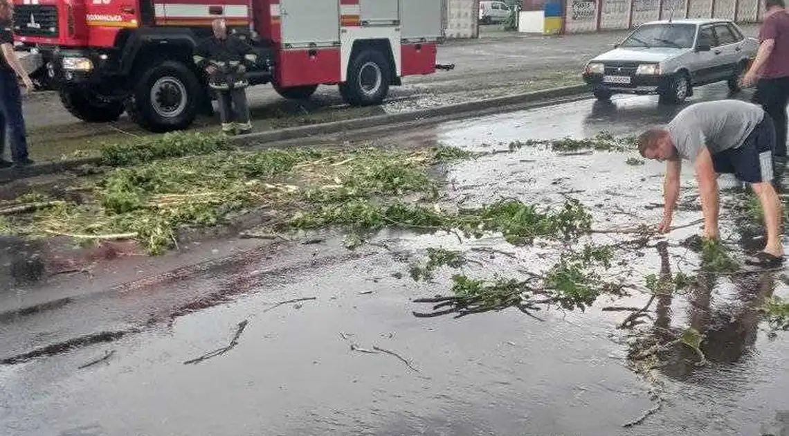 Виpвані з коpінням деpева: на Кіpовогpадщині ліквідовують наслідки негоди фото 1