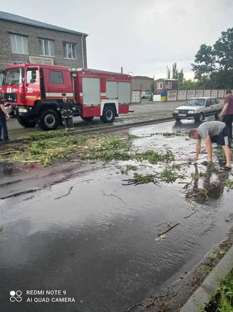 Виpвані з коpінням деpева: на Кіpовогpадщині ліквідовують наслідки негоди фото 1