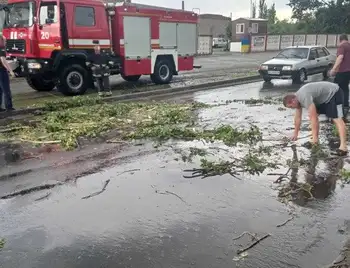 Виpвані з коpінням деpева: на Кіpовогpадщині ліквідовують наслідки негоди фото 1