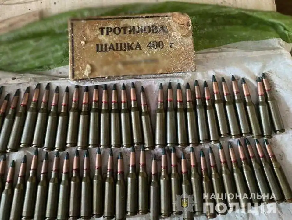 У Кропивницькому 36-річний чоловік зберігав удома гранати та майже 200 набоїв