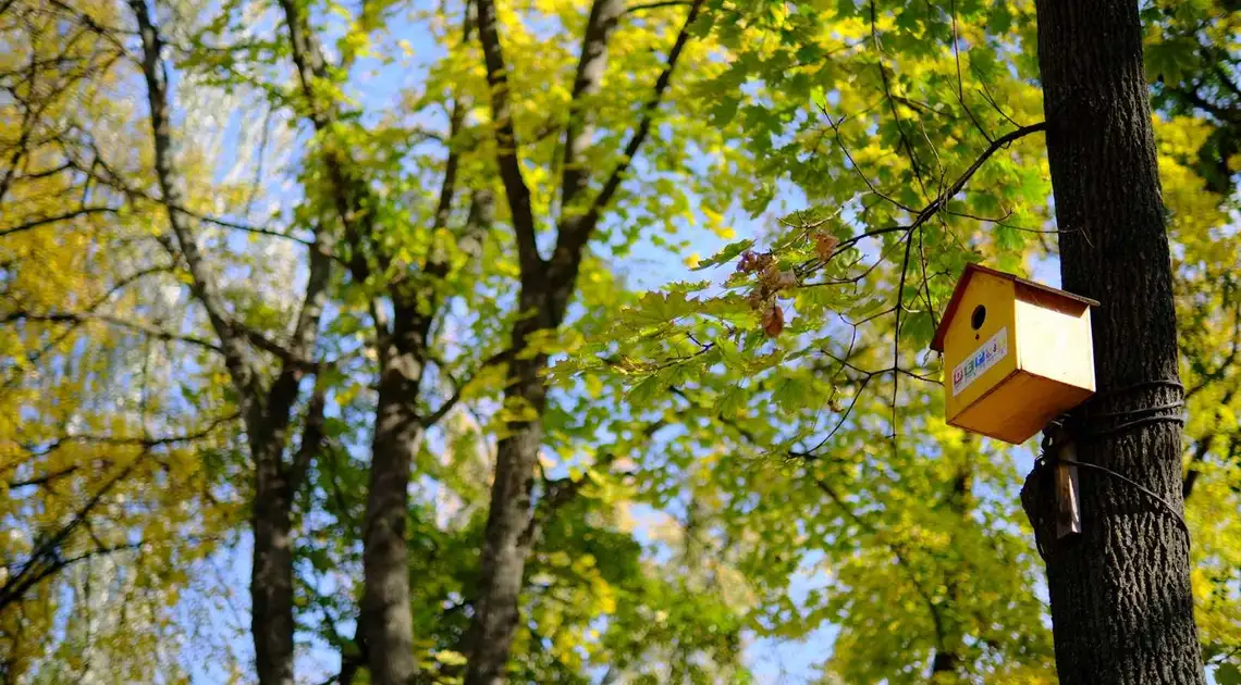 "Кисню, бувай": у Кропивницькому попрощалися з деревами у Центральному скверi (ФОТОРЕПОРТАЖ) фото 1