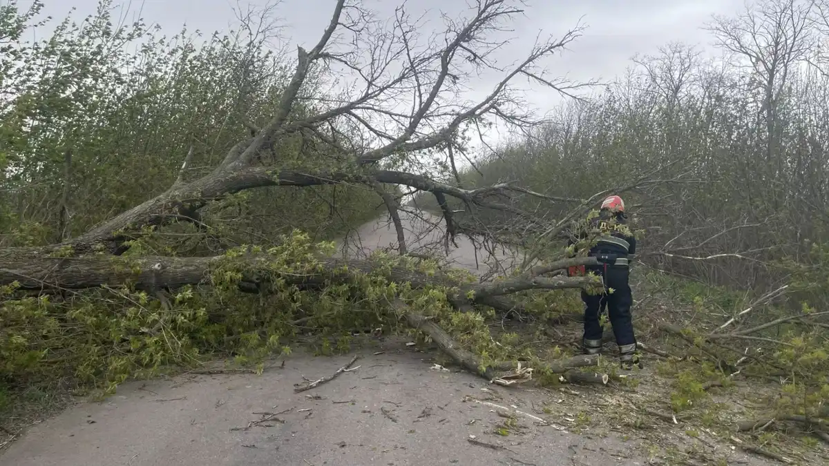 Внаслідок негоди без світла на Кіровоградщині залишаються 33 населені пункти