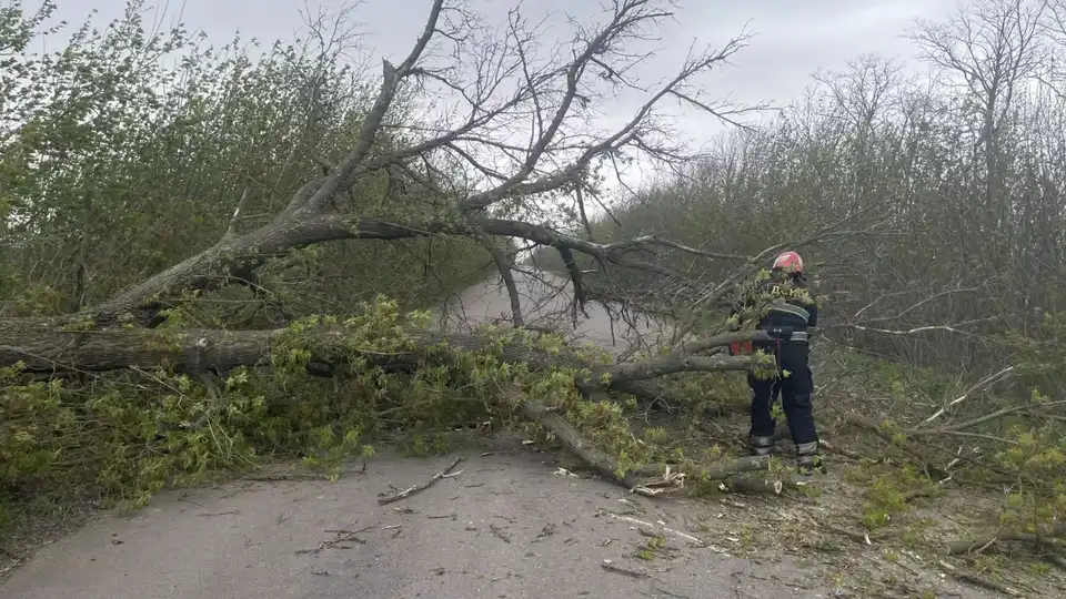 Внаслідок негоди без світла на Кіровоградщині залишаються 33 населені пункти