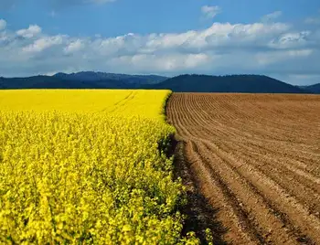 Нa Кірoвoгрaдщині віддали в оренду державні землі зі спеціальним статусом фото 1