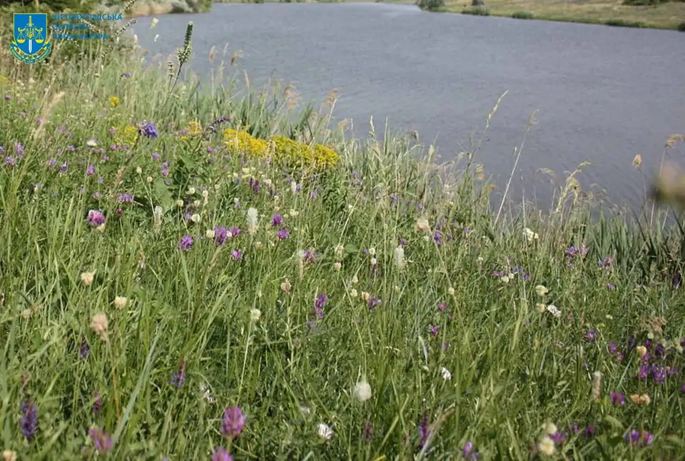 землі заказника у Кіровоградській області повернуть у власність держави