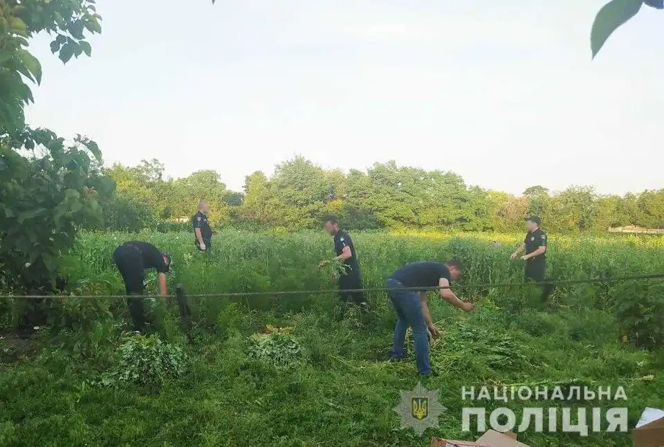 На Кіровоградщині спалили плантацію маку та конопель (ФОТО) фото 1