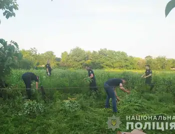 На Кіровоградщині спалили плантацію маку та конопель (ФОТО) фото 1