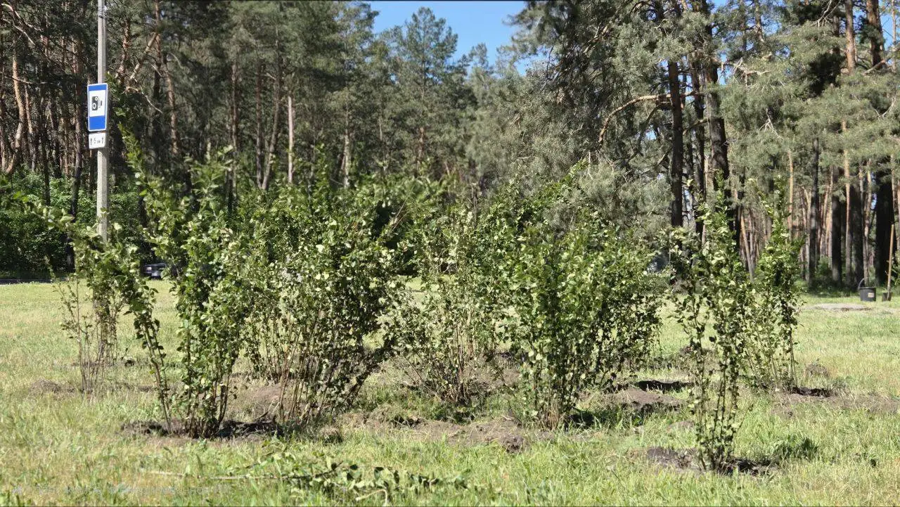 Гай десантників
