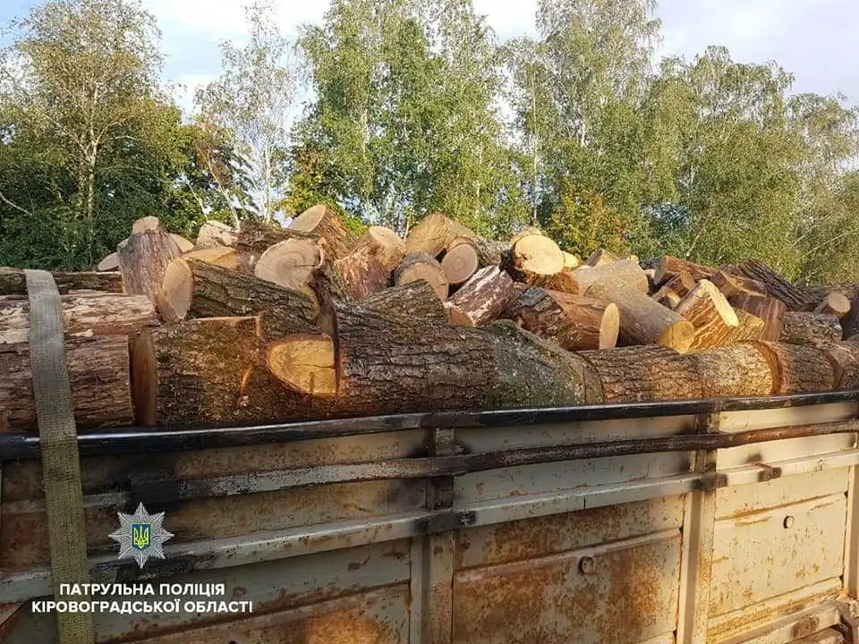 У Кропивницькому виявили вантажівку  із  деревиною без документів (ФОТО) фото 1
