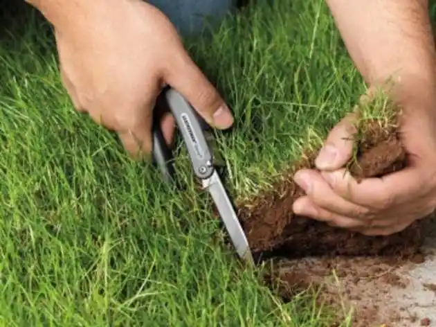 На Кіровоградщині скасували договори оренди на землі вартістю 1,3 млн грн фото 1