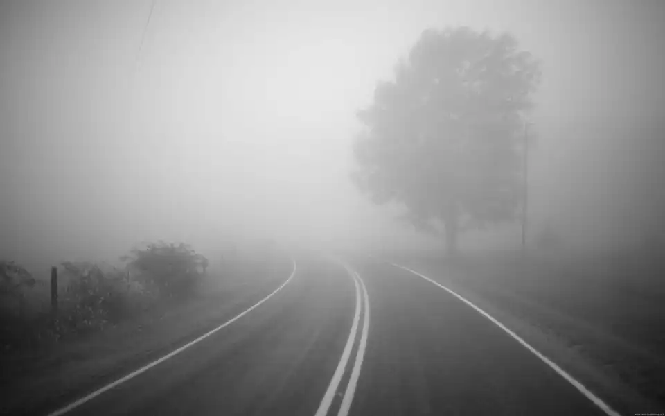 Жителів Кіровоградщини попереджають про сильний туман фото 1