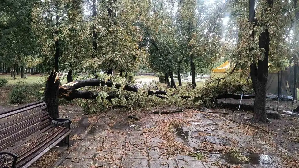 Негода на Кіровоградщині: в одній громаді пошкодило будинки та знеструмило частину міста (ФОТО)