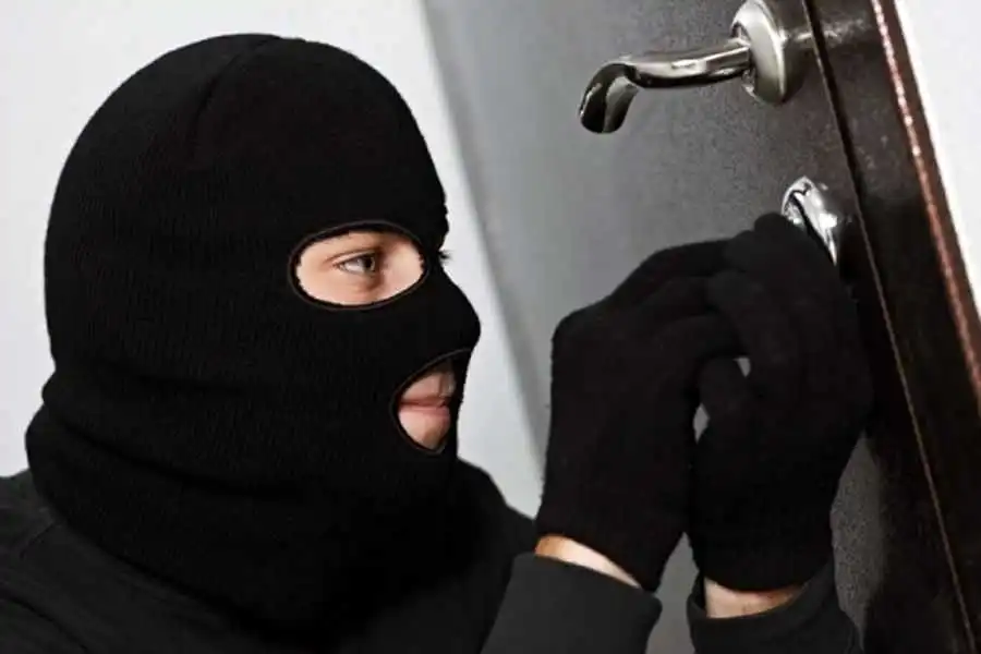 Серійні крадії з Запоріжжя накрали у кропивничан на майже 2 млн грн фото 1