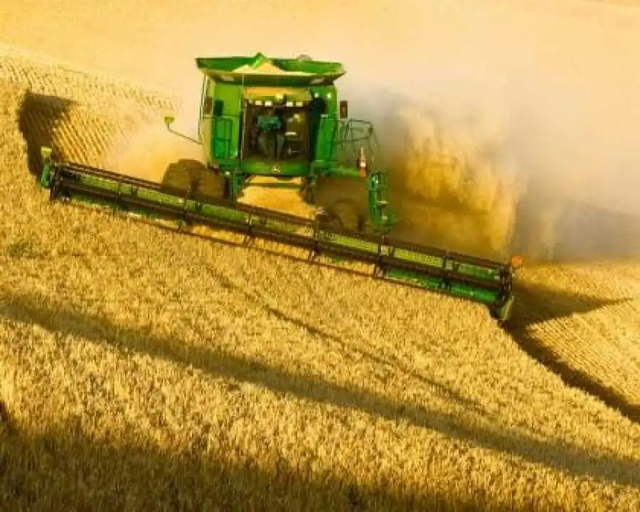 Цьогоріч аграрії Кіровоградщини не зібрали очікувану кількість врожаю фото 1