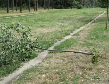 У Кіровограді місця для висадження Алеї пам’яті воїнів АТО поки не знайшли фото 1