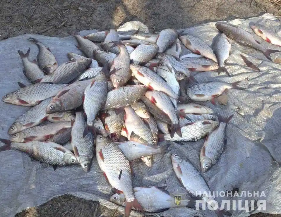 На Кіровоградщині викрили браконьєра, який незаконно наловив риби на 17 тисяч гривень фото 1