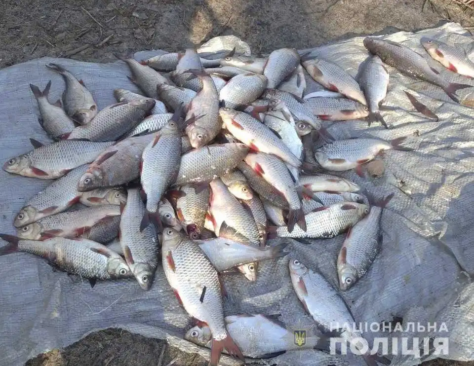 На Кіровоградщині викрили браконьєра, який незаконно наловив риби на 17 тисяч гривень фото 1