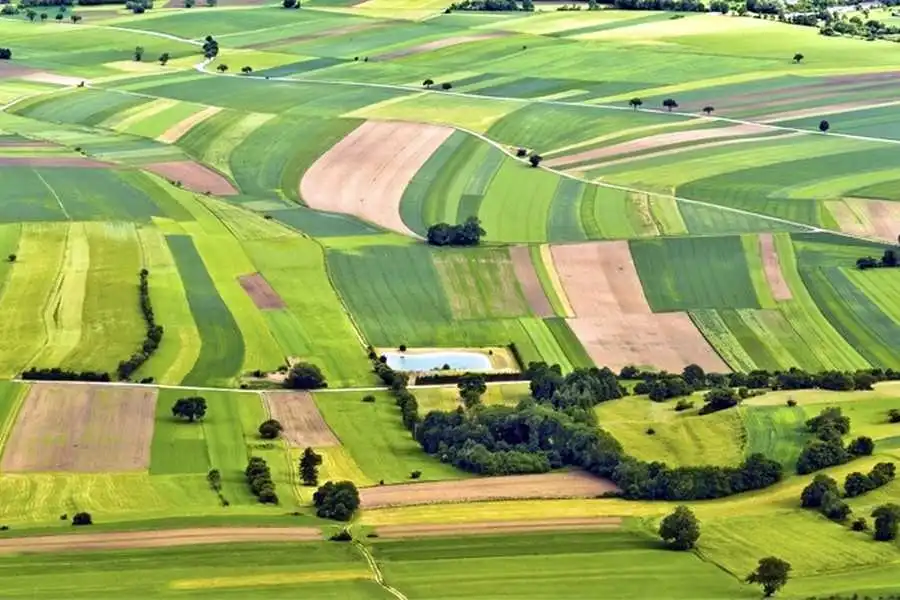 Посадовець з Кіровоградщини за хабар роздавав державні землі