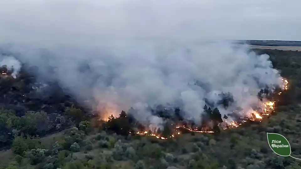 пожежа у лісі