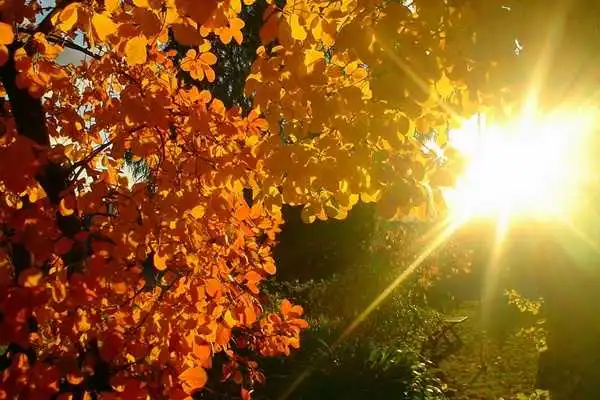 Синоптики обіцяють Україні «бабине літо» у жовтні фото 1