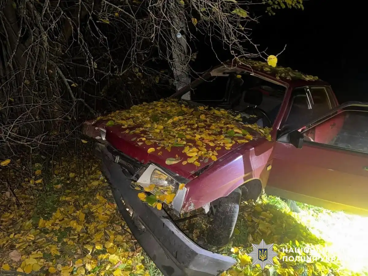 У селі Бірки Кропивницького району водій ВАЗу і в’їхав у стовп.