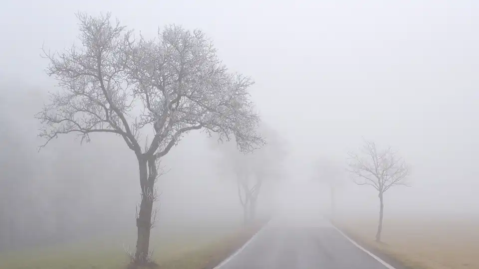 Туман у Кропивницькому і області прогнозують 2 квітня