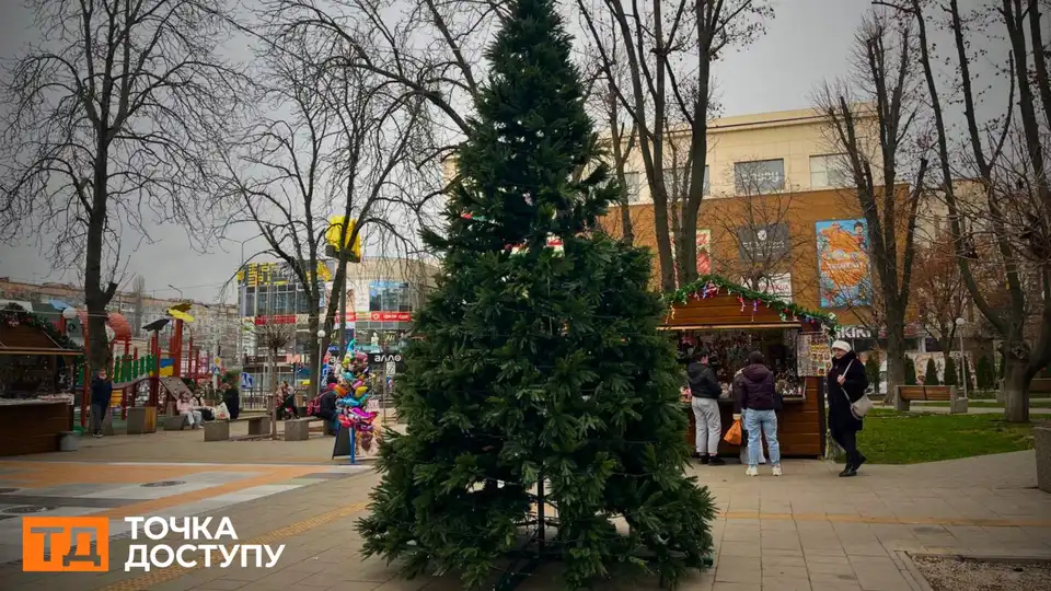 Встановили ялинку в Центральному сквері у Кропивницькому