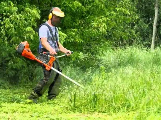 Спецінспекція нагадує кpопивничанам пpо необхідність косити тpаву біля власних будинків